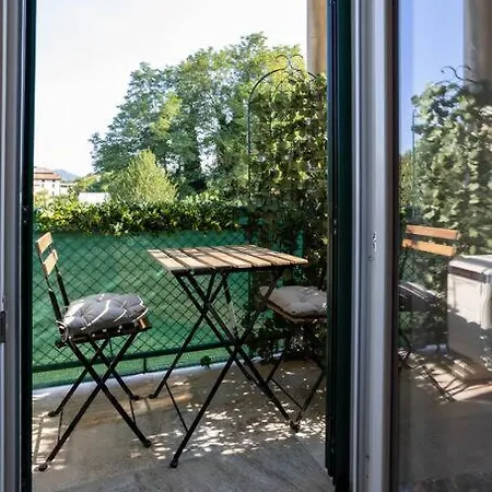 Le Felci *