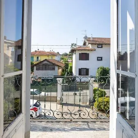 Le Felci